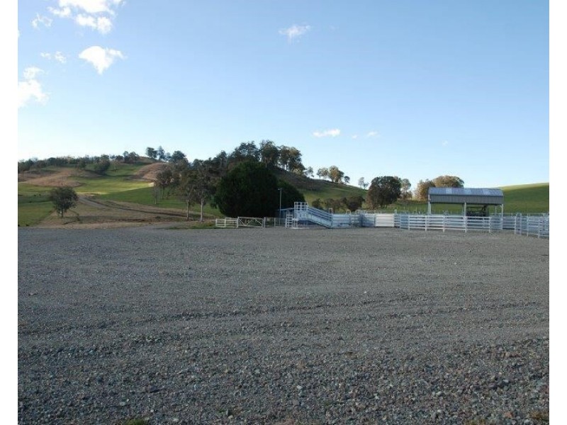 Seymour, 5836 Brackendale Road, Nowendoc NSW 2354