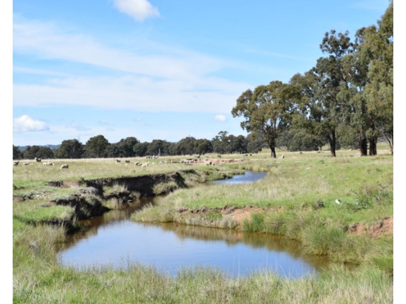 Glenfield Nth 305 Loxton Road, Wandsworth NSW 2365