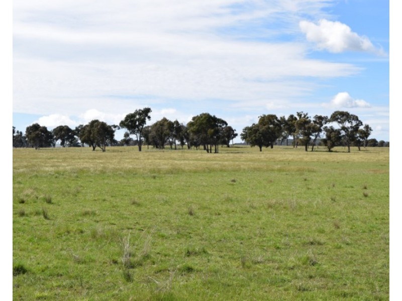 Glenfield Nth 305 Loxton Road, Wandsworth NSW 2365