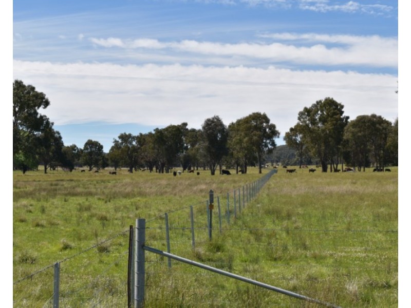 Glenfield Nth 305 Loxton Road, Wandsworth NSW 2365