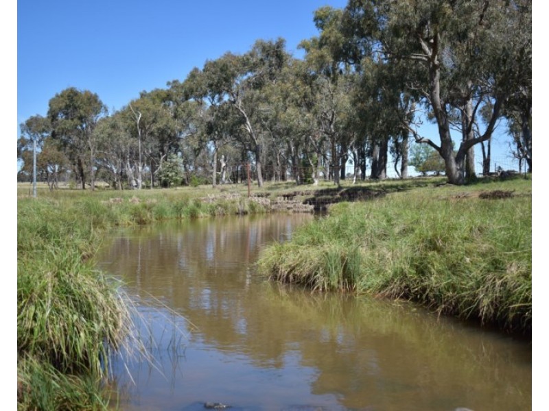 Glenfield Nth 305 Loxton Road, Wandsworth NSW 2365