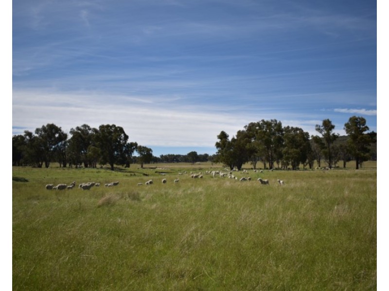 Glenfield Nth 305 Loxton Road, Wandsworth NSW 2365