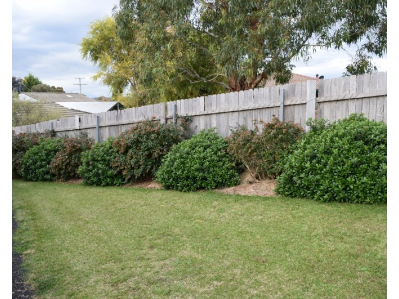 33 Malpas Street, Guyra NSW 2365