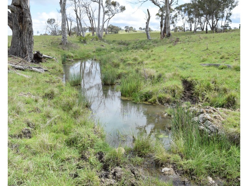 460 Donald Road, Armidale NSW 2350