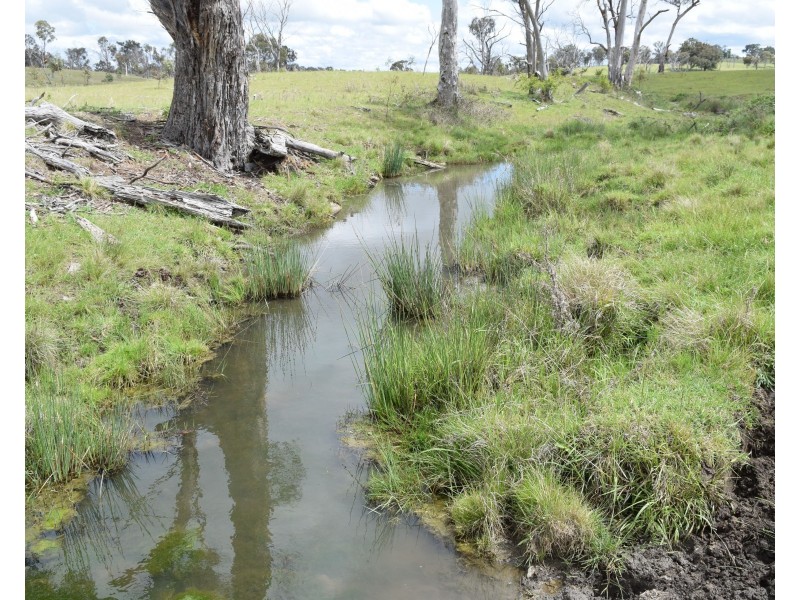 460 Donald Road, Armidale NSW 2350