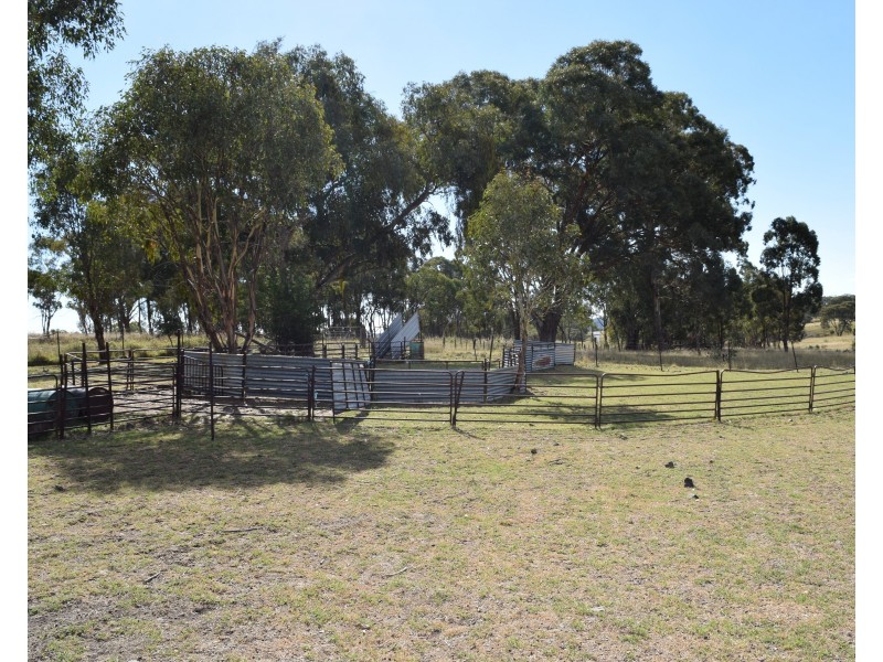 1166 Kingstown Road, Uralla NSW 2358