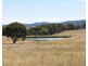 1166 Kingstown Road, Uralla NSW 2358