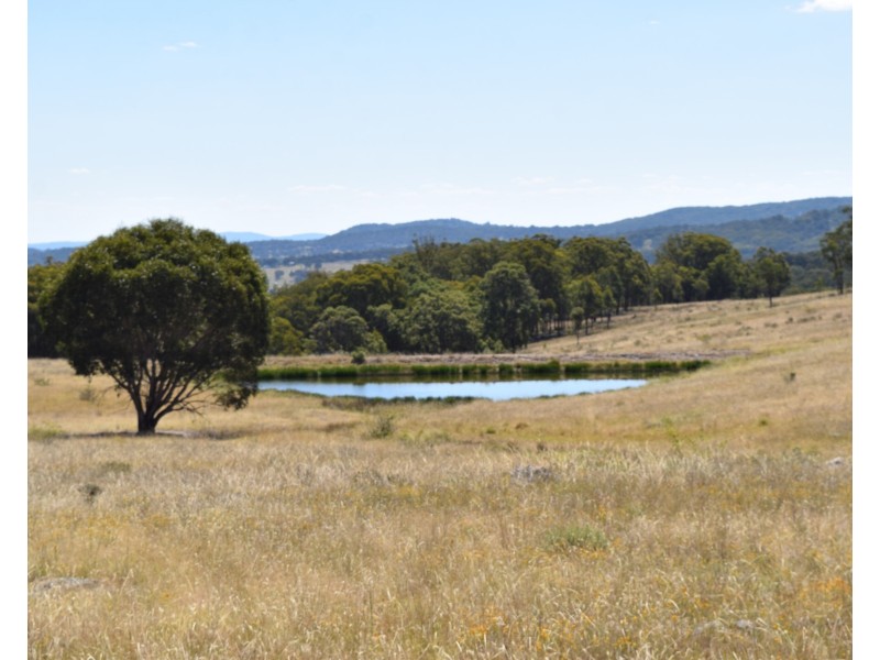 1166 Kingstown Road, Uralla NSW 2358