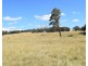 1166 Kingstown Road, Uralla NSW 2358