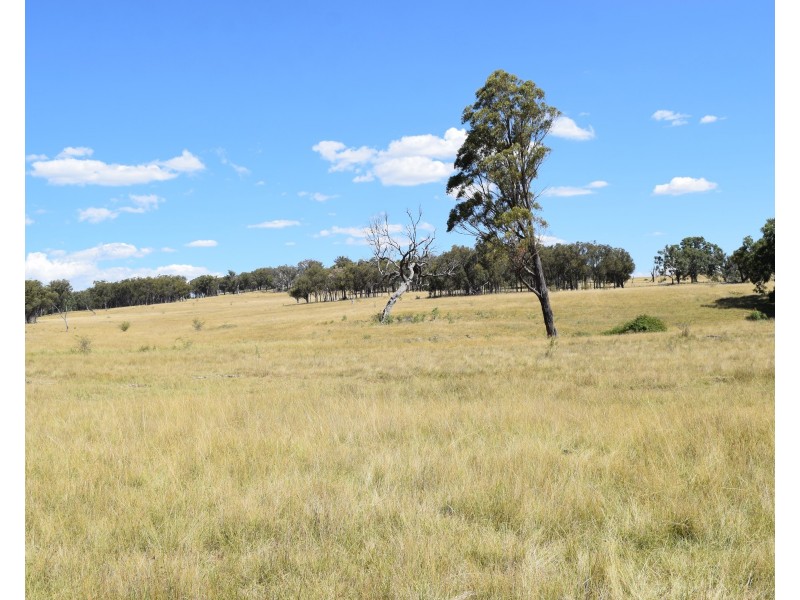 1166 Kingstown Road, Uralla NSW 2358