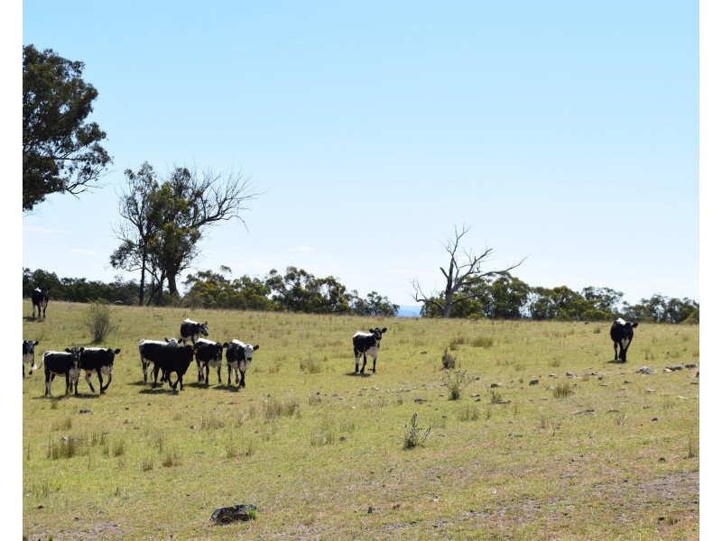 1166 Kingstown Road, Uralla NSW 2358