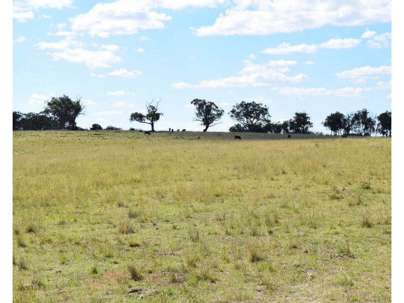 1166 Kingstown Road, Uralla NSW 2358