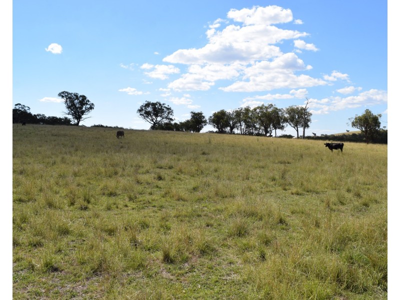 1166 Kingstown Road, Uralla NSW 2358