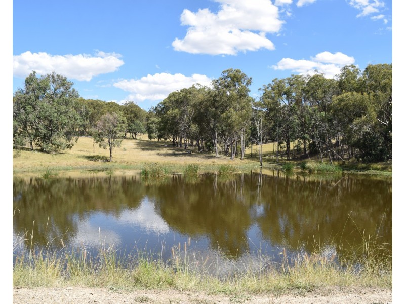 1166 Kingstown Road, Uralla NSW 2358