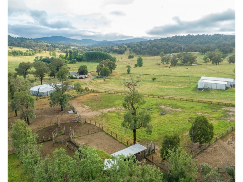 Maiden Creek 1060 Wongwibinda Road, Wollomombi NSW 2350