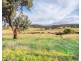 Maiden Creek 1060 Wongwibinda Road, Wollomombi NSW 2350