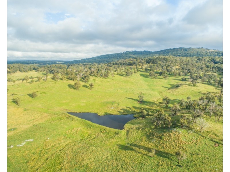 Maiden Creek 1060 Wongwibinda Road, Wollomombi NSW 2350