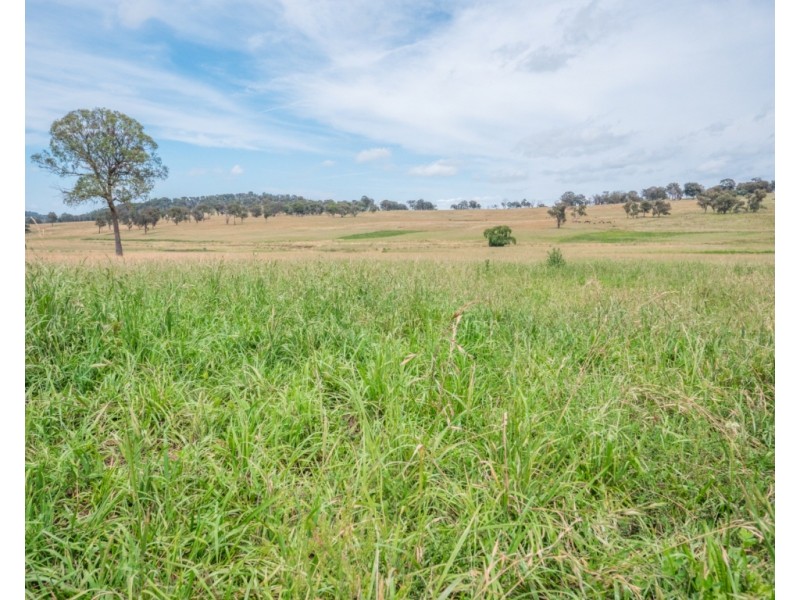 Maiden Creek 1060 Wongwibinda Road, Wollomombi NSW 2350