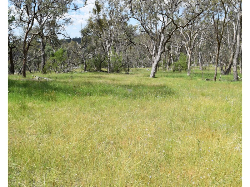 91 Glenambie Devoncourt Road, Uralla NSW 2358