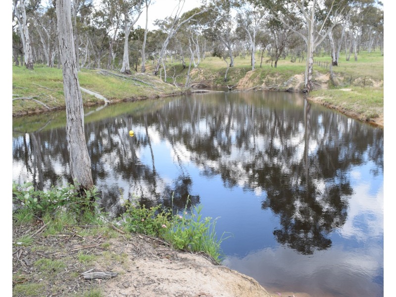 91 Glenambie Devoncourt Road, Uralla NSW 2358