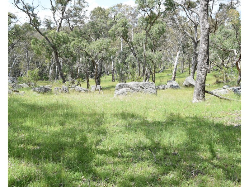 91 Glenambie Devoncourt Road, Uralla NSW 2358