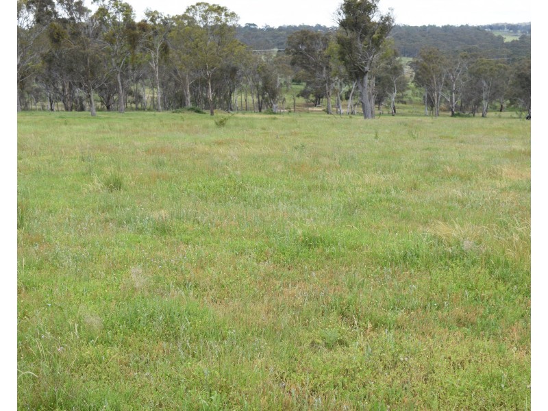 91 Glenambie Devoncourt Road, Uralla NSW 2358