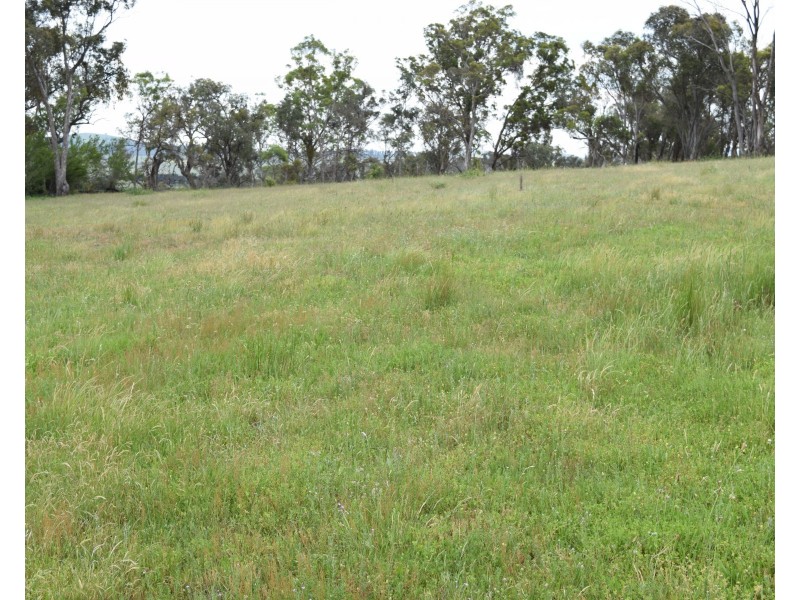 91 Glenambie Devoncourt Road, Uralla NSW 2358