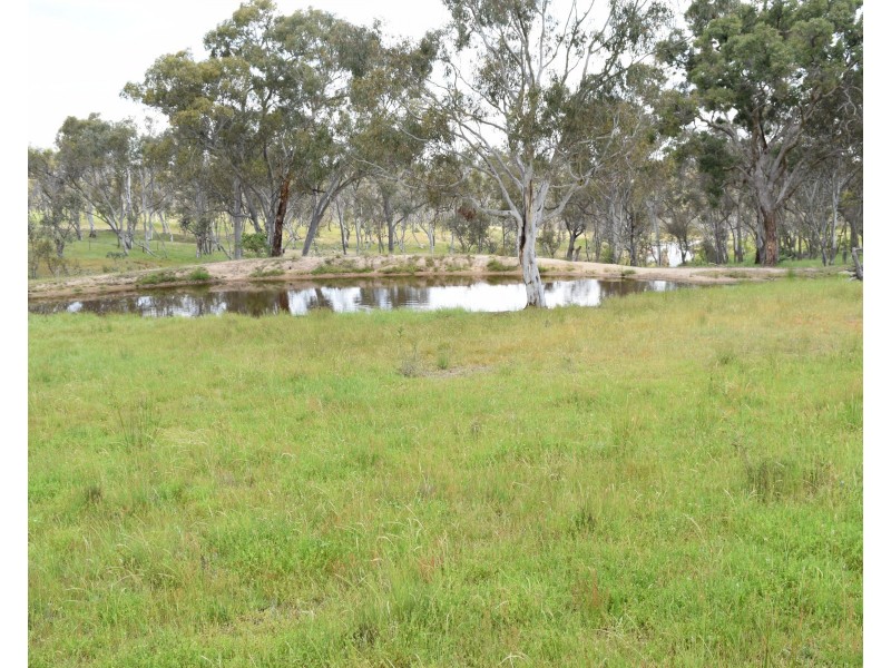 91 Glenambie Devoncourt Road, Uralla NSW 2358