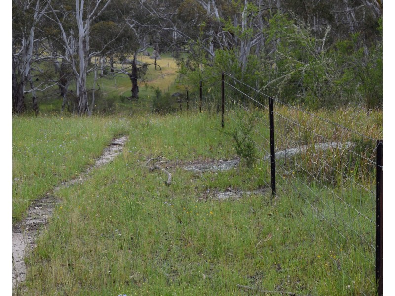 91 Glenambie Devoncourt Road, Uralla NSW 2358