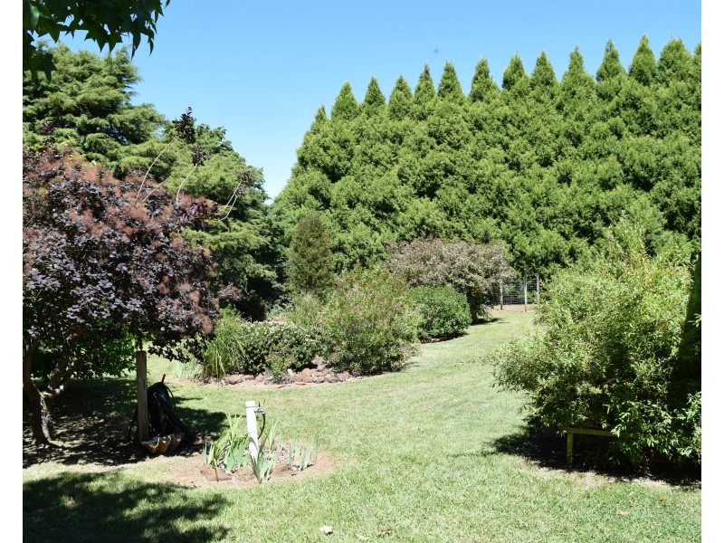 Sabons 426 Baldersleigh Road, Guyra NSW 2365