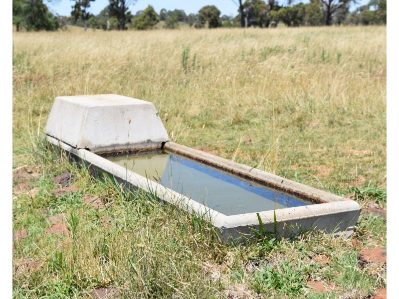 Sabons 426 Baldersleigh Road, Guyra NSW 2365