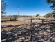 136 Bellbrook East Road, Armidale NSW 2350