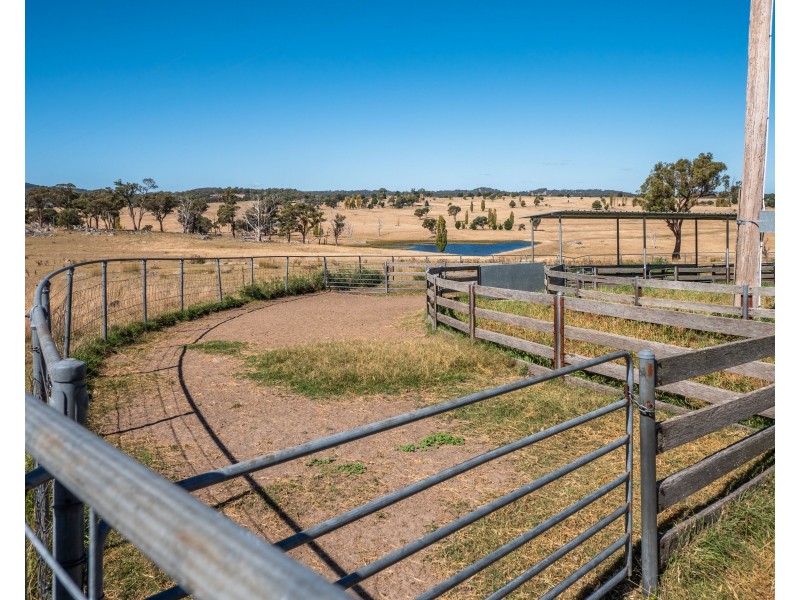 136 Bellbrook East Road, Armidale NSW 2350