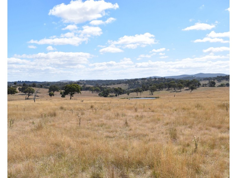 136 Bellbrook East Road, Armidale NSW 2350