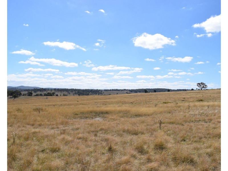 136 Bellbrook East Road, Armidale NSW 2350