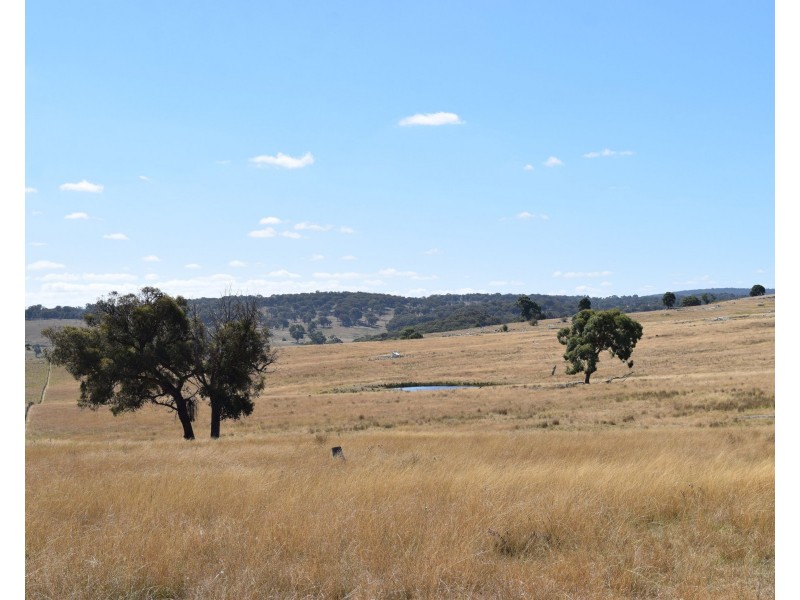 136 Bellbrook East Road, Armidale NSW 2350