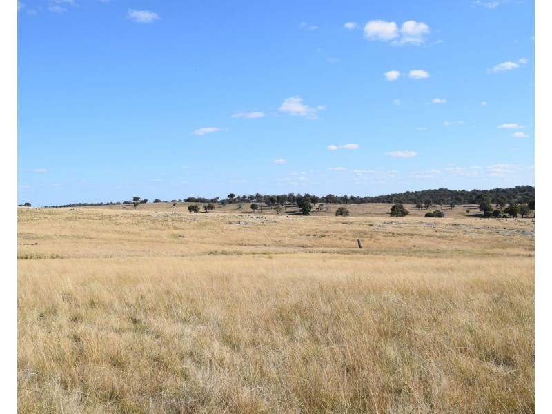 136 Bellbrook East Road, Armidale NSW 2350