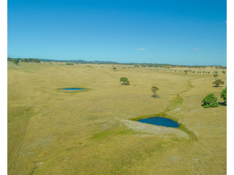 136 Bellbrook East Road, Armidale NSW 2350