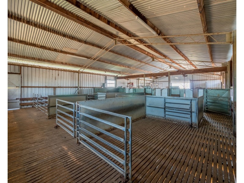 136 Bellbrook East Road, Armidale NSW 2350