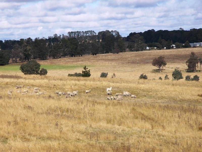 Kentucky NSW 2354