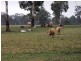 Guyra NSW 2365