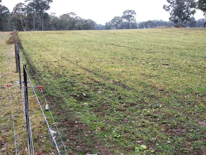 Guyra NSW 2365