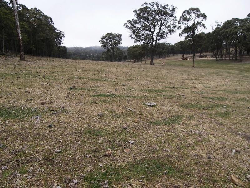 Guyra NSW 2365