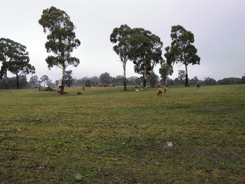 Guyra NSW 2365