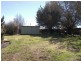 Guyra NSW 2365