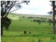 Black Mountain NSW 2365