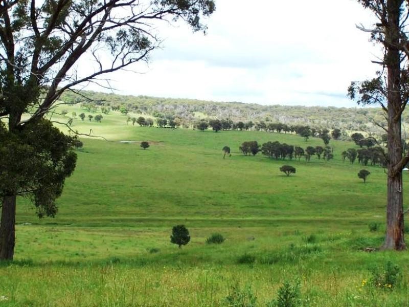 Black Mountain NSW 2365