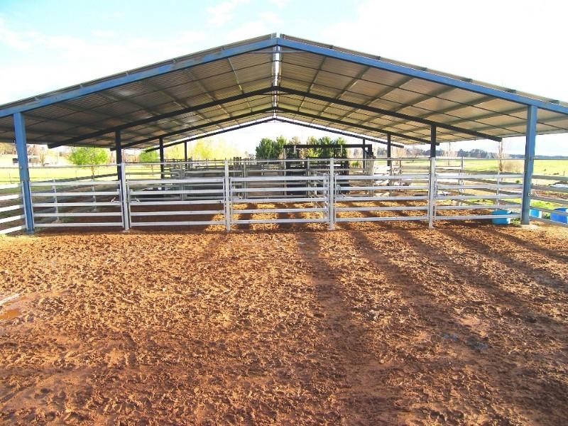 Black Mountain NSW 2365