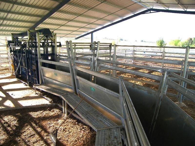 Black Mountain NSW 2365