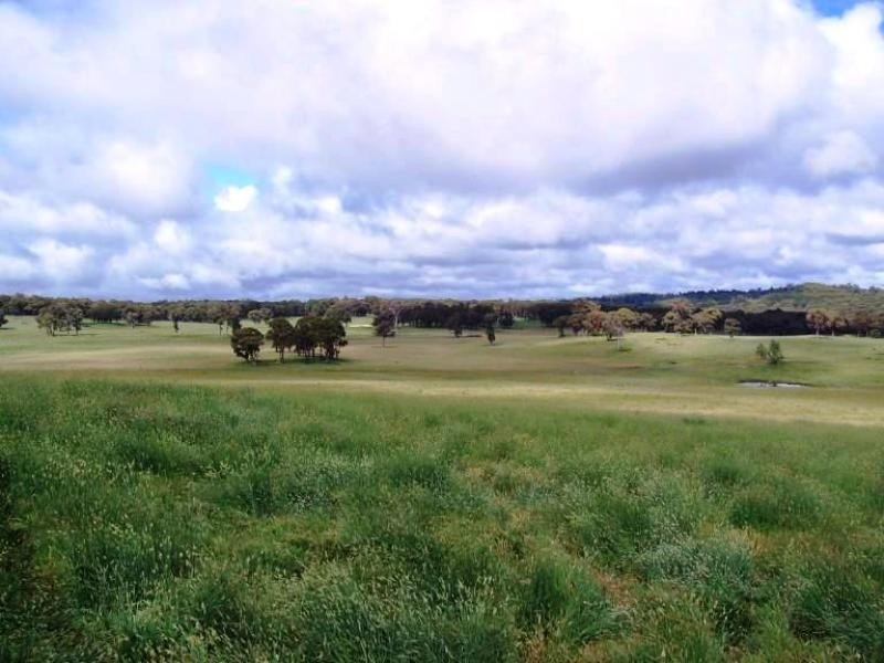 Black Mountain NSW 2365